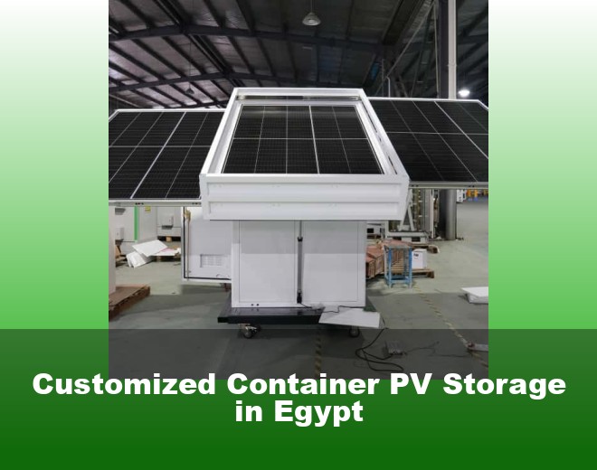 Customized Container PV Storage in Egypt