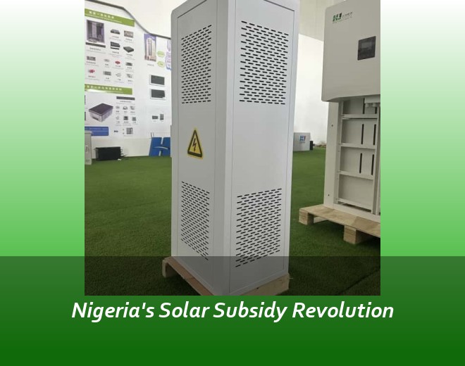 Nigeria's Solar Subsidy Revolution