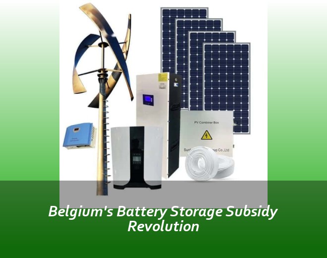 Belgium's Battery Storage Subsidy Revolution