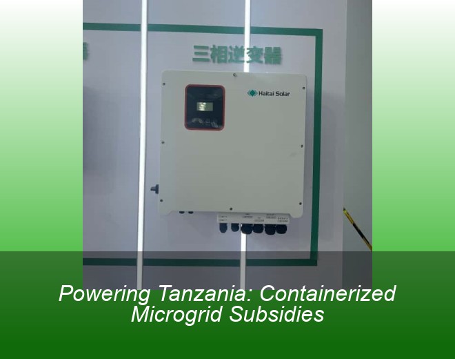 Powering Tanzania: Containerized Microgrid Subsidies