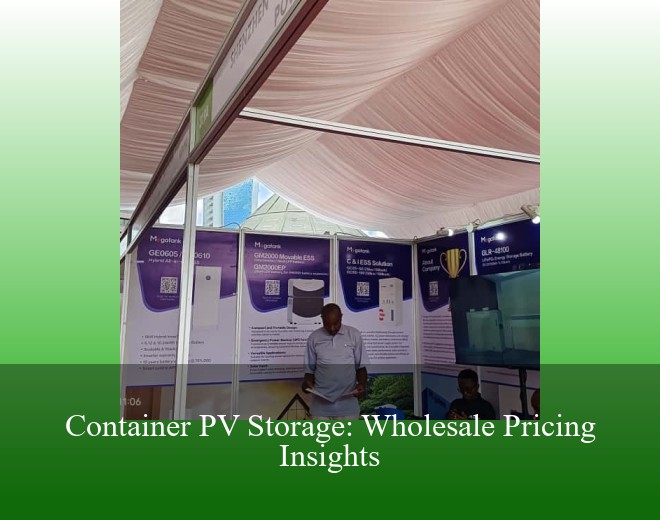 Container PV Storage: Wholesale Pricing Insights